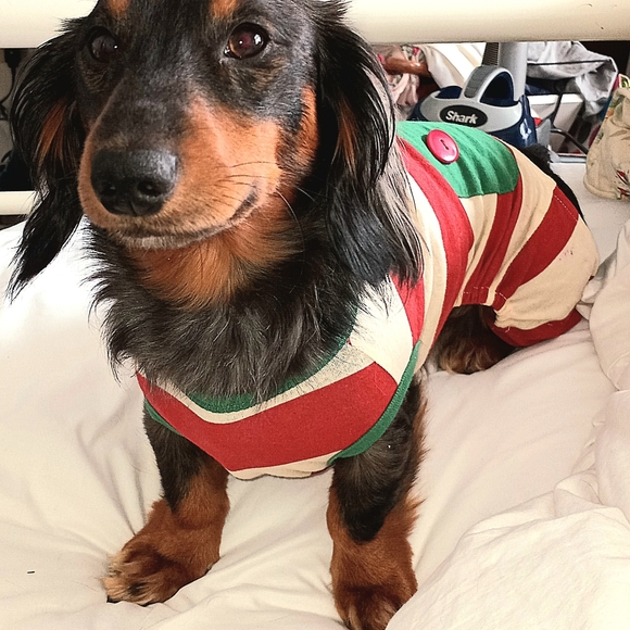 Meet your Posher, Kristine - Picture 3 of 5